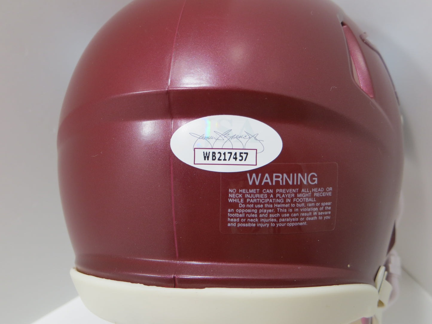 DARREN McFADDEN SIGNED ARKANSAS RAZORBACKS Riddell MINI HELMET wRunDMC BAS