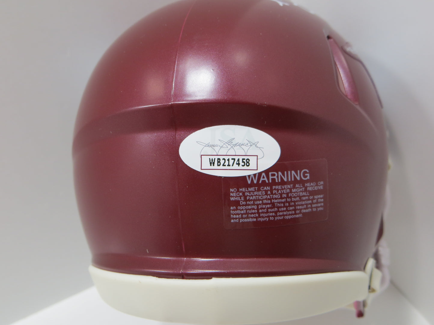 DARREN McFADDEN SIGNED ARKANSAS RAZORBACKS Riddell MINI HELMET wRunDMC BAS