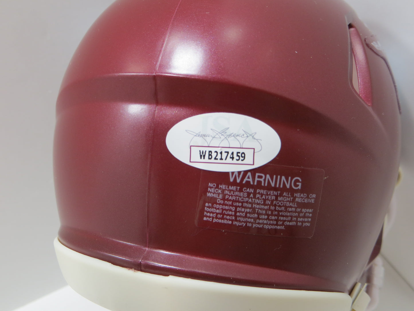 DARREN McFADDEN SIGNED ARKANSAS RAZORBACKS Riddell MINI HELMET wRunDMC BAS