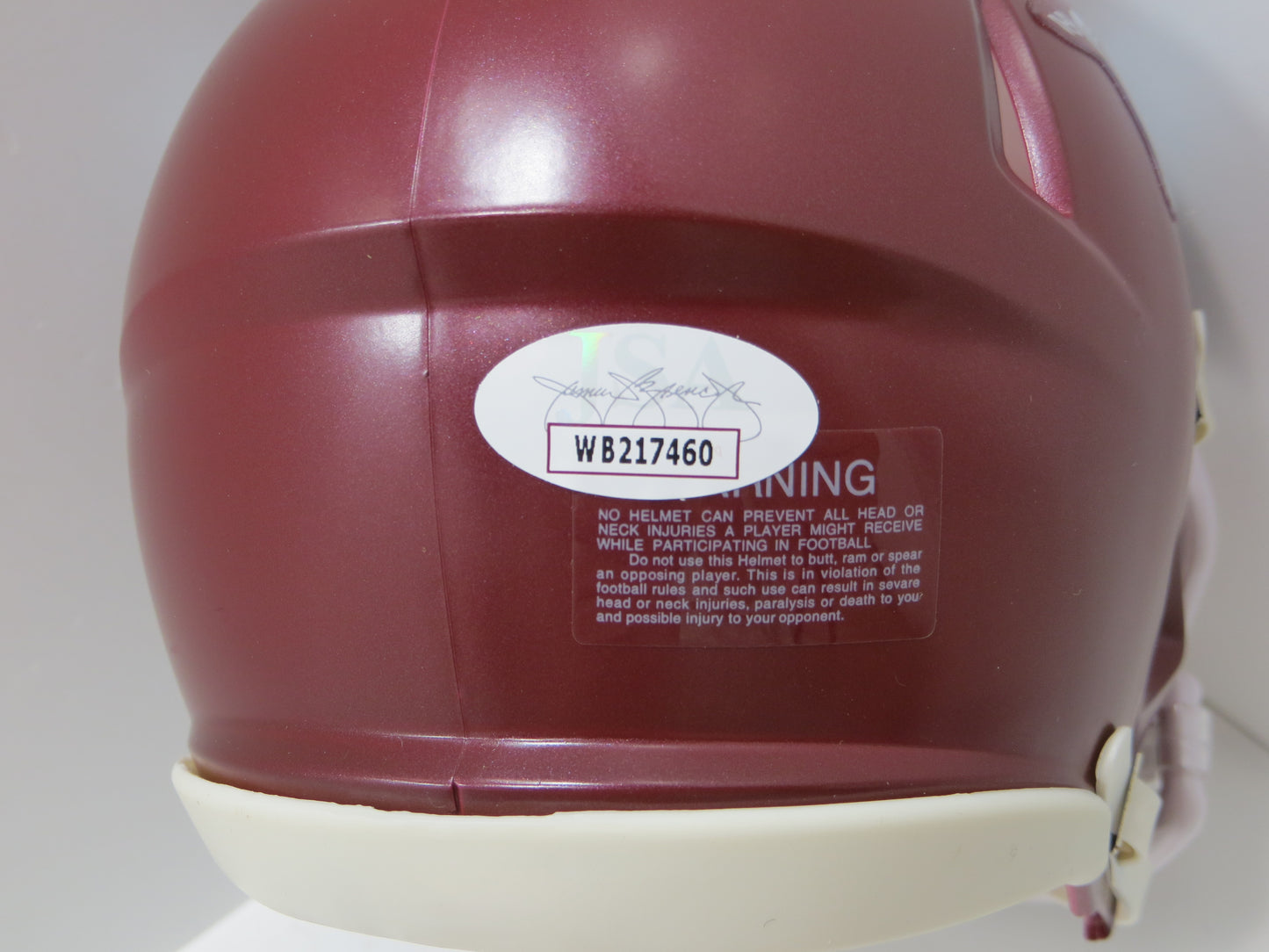 DARREN McFADDEN SIGNED ARKANSAS RAZORBACKS Riddell MINI HELMET wRunDMC BAS