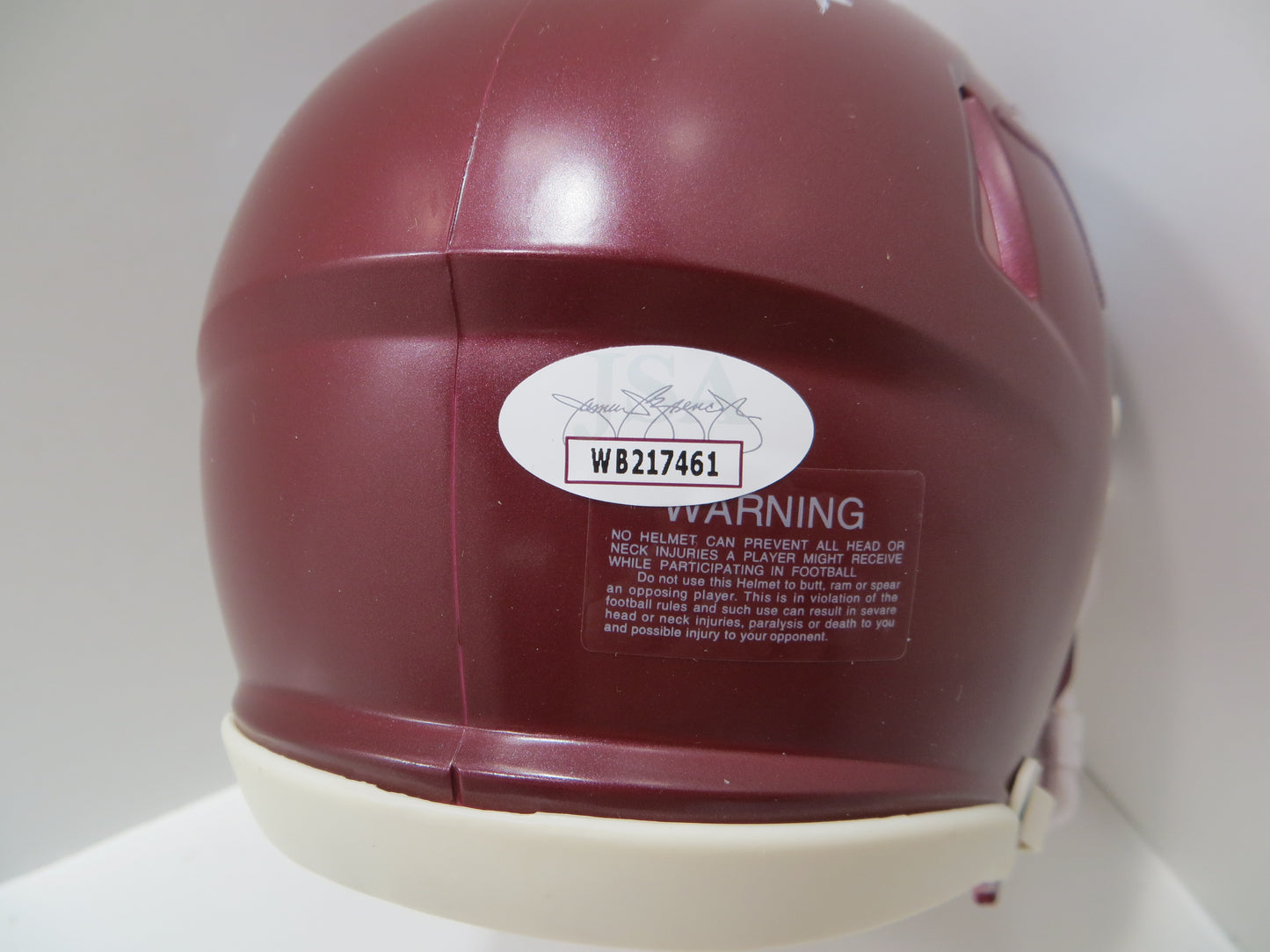 DARREN McFADDEN SIGNED ARKANSAS RAZORBACKS Riddell MINI HELMET wRunDMC BAS