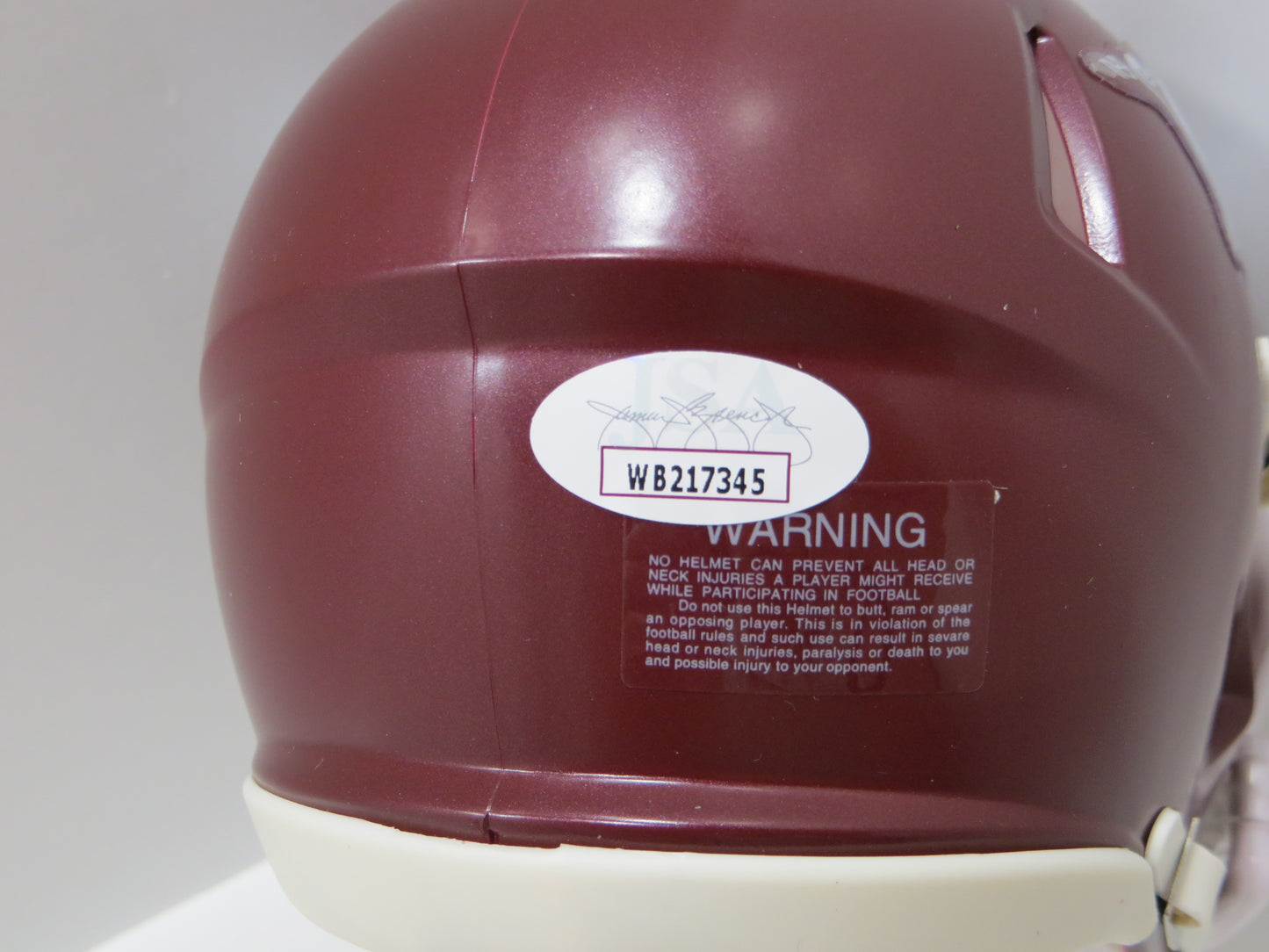 DARREN McFADDEN SIGNED ARKANSAS RAZORBACKS Riddell MINI HELMET wCFHOF BAS