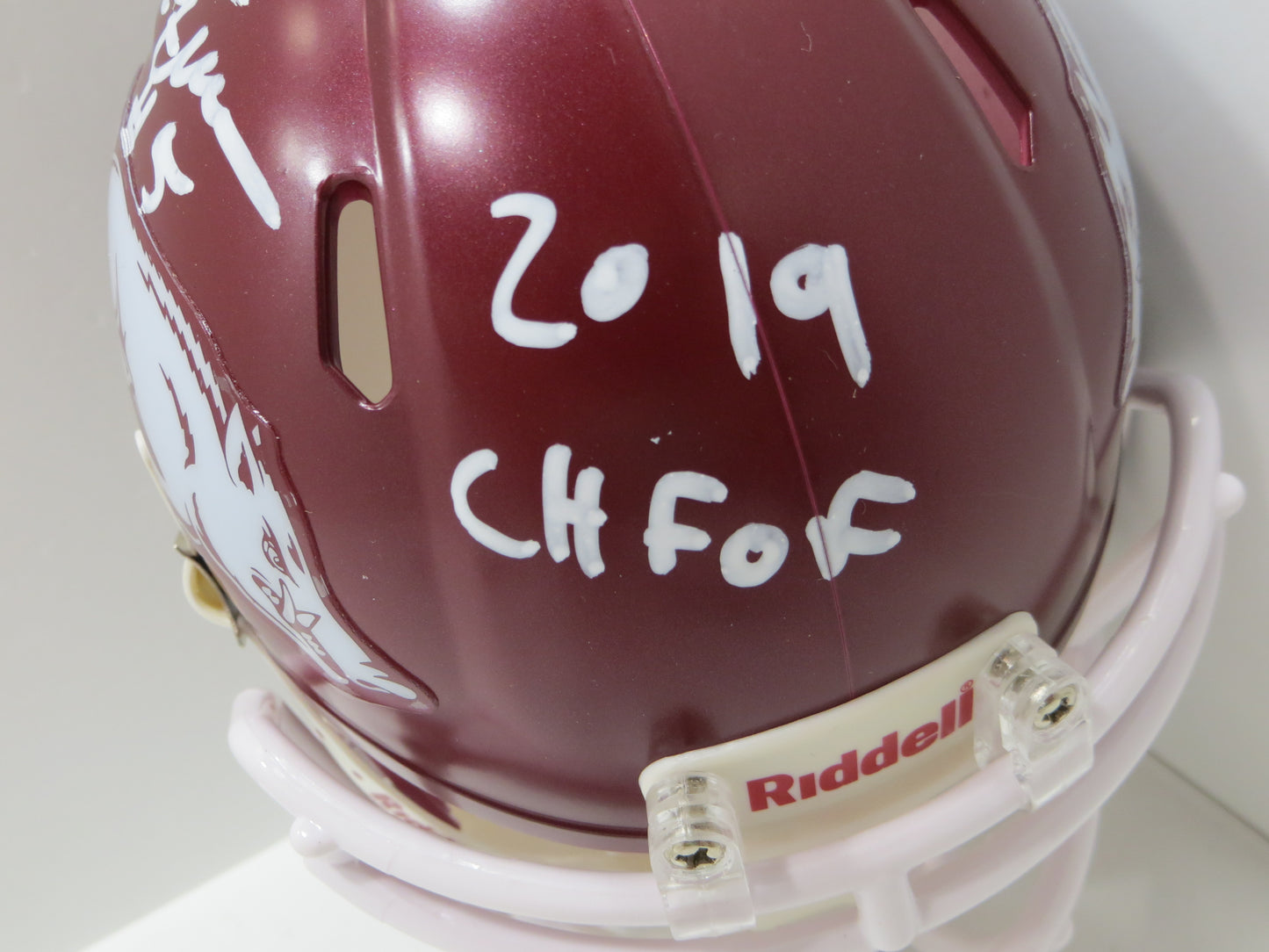 DARREN McFADDEN SIGNED ARKANSAS RAZORBACKS Riddell MINI HELMET wCHFOF BAS