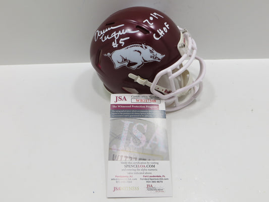 DARREN McFADDEN SIGNED ARKANSAS RAZORBACKS Riddell MINI HELMET w/CHOF BAS