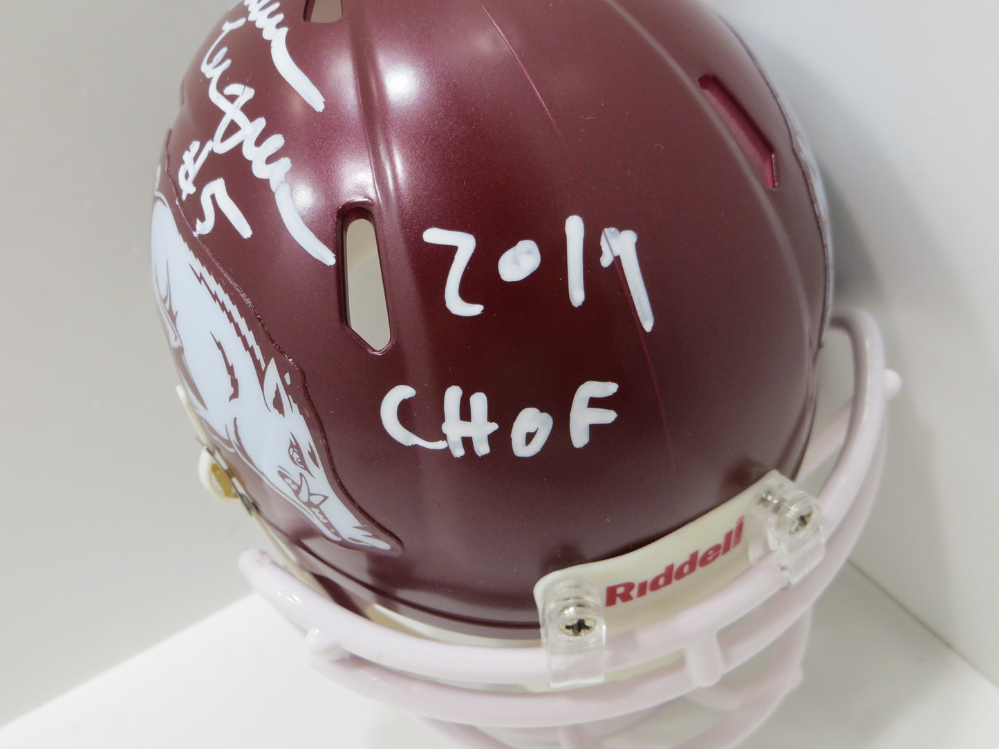 DARREN McFADDEN SIGNED ARKANSAS RAZORBACKS Riddell MINI HELMET w/CHOF BAS