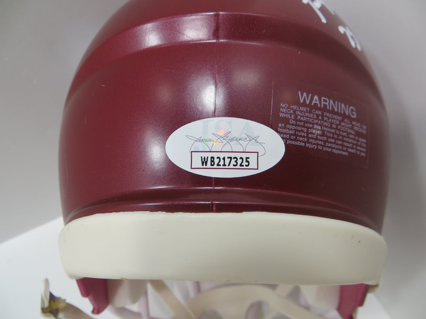 DARREN McFADDEN FELIX JONES SIGNED ARKANSAS RAZORBACKS MINI HELMET BAS