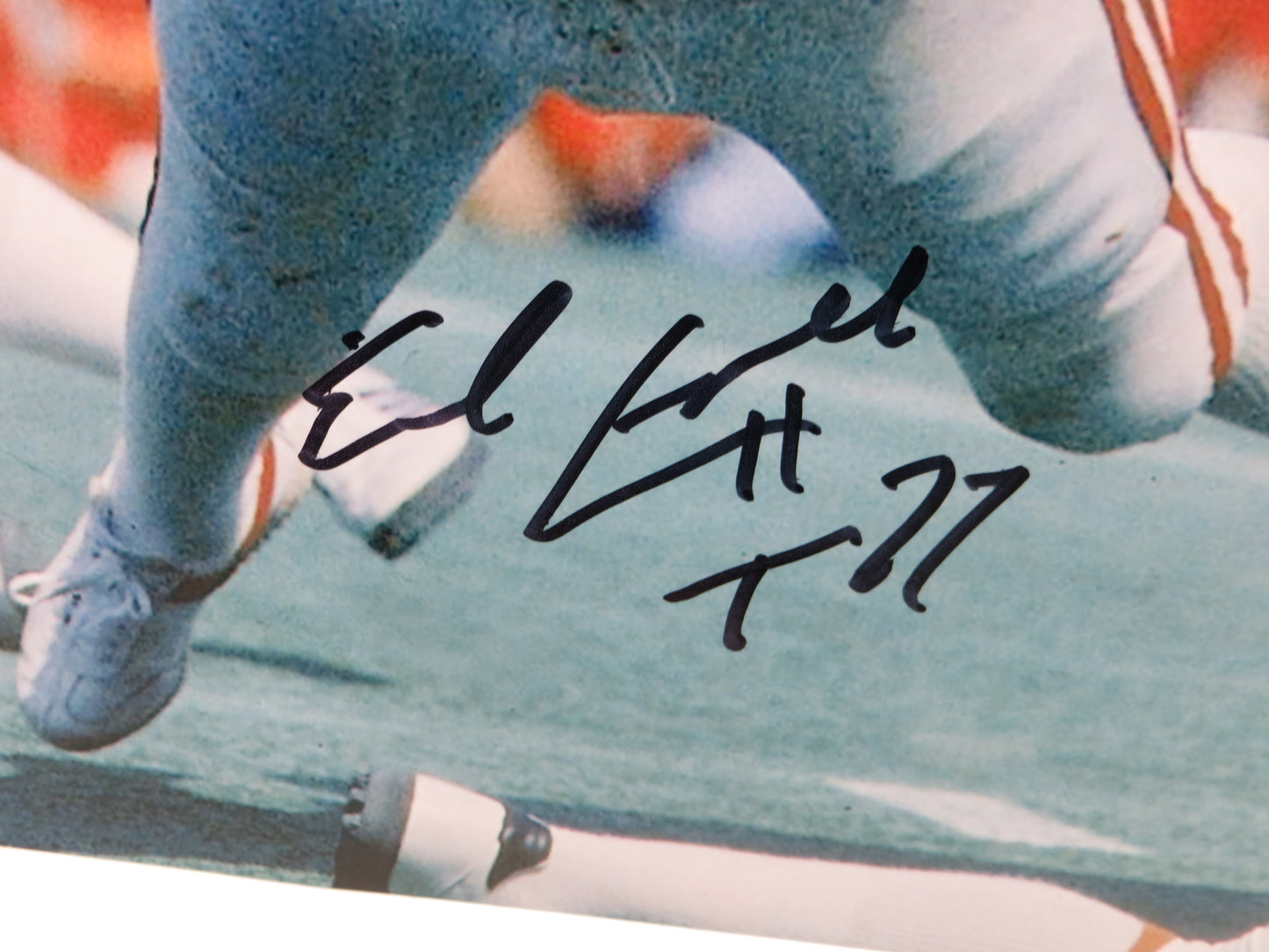 EARL CAMPBELL Texas Longhorns SIGNED 16x20 PHOTO w/HT 77 Houston Oilers BAS