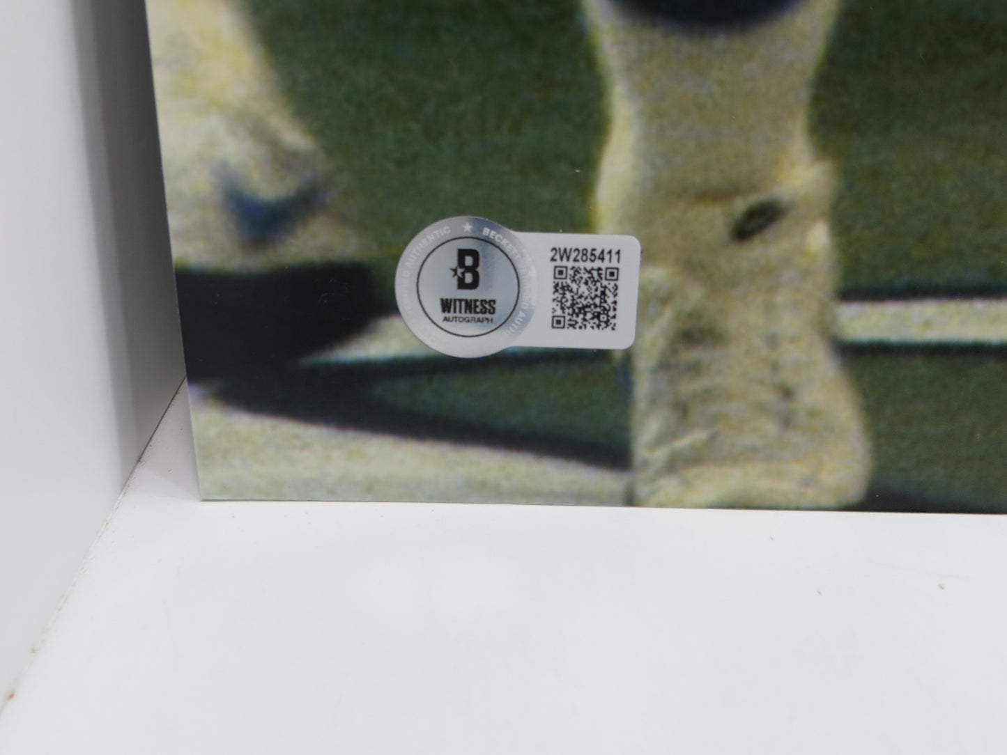 EARL CAMPBELL Houston Oilers SIGNED 16x20 PHOTO UT Longhorns BAS