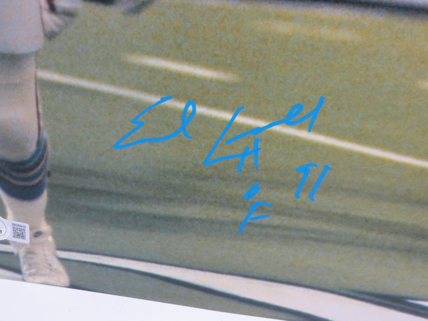 EARL CAMPBELL Houston Oilers SIGNED 16x20 PHOTO UT Longhorns BAS