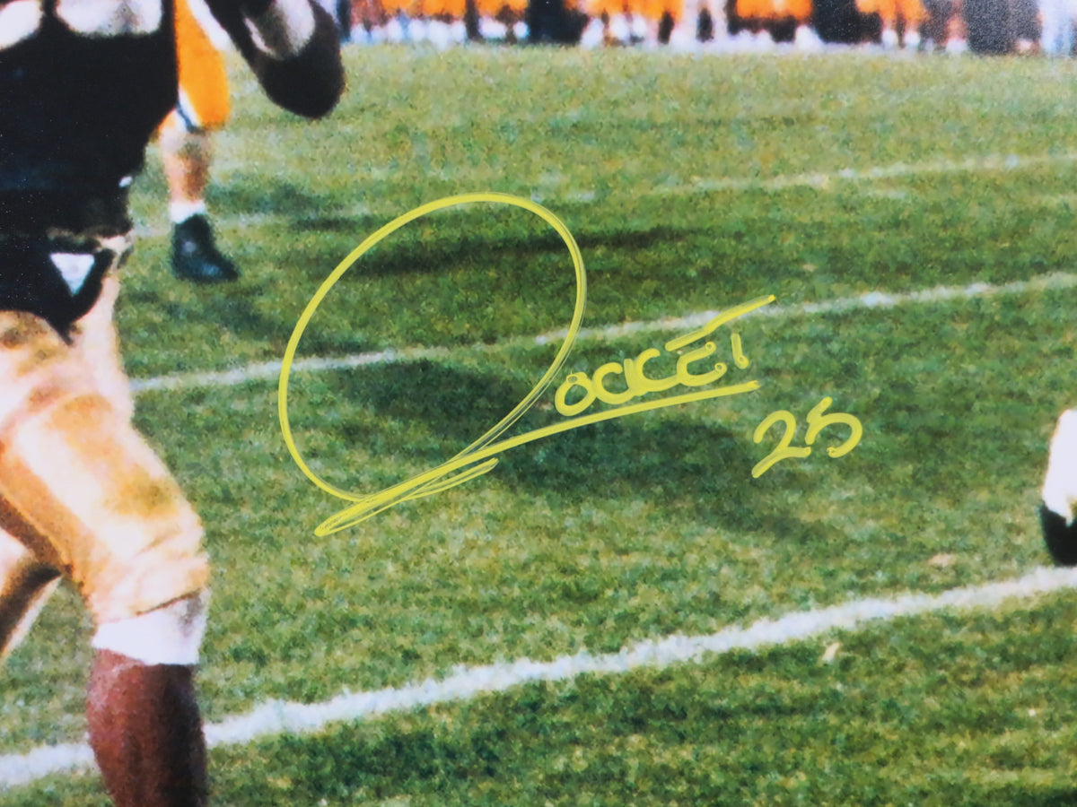 ROCKET ISMAIL NOTRE DAME SIGNED Touchdown 16x20 YELLOW BAS