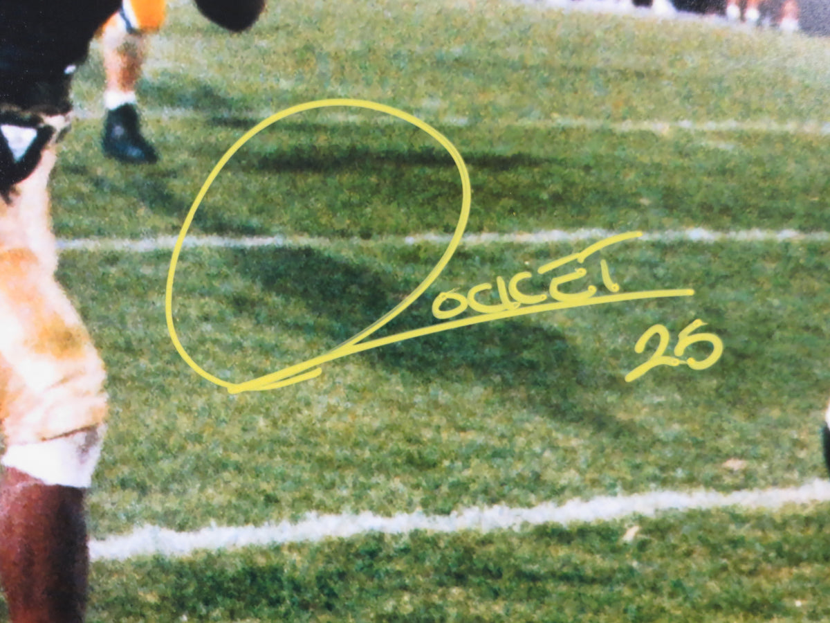 ROCKET ISMAIL NOTRE DAME SIGNED Touchdown 16x20 YELLOW BAS