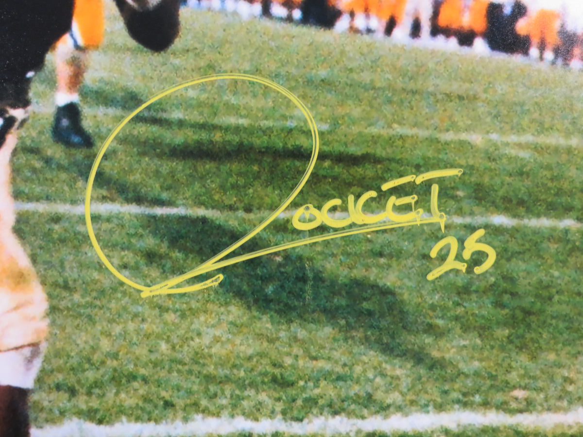 ROCKET ISMAIL NOTRE DAME SIGNED Touchdown 16x20 YELLOW BAS