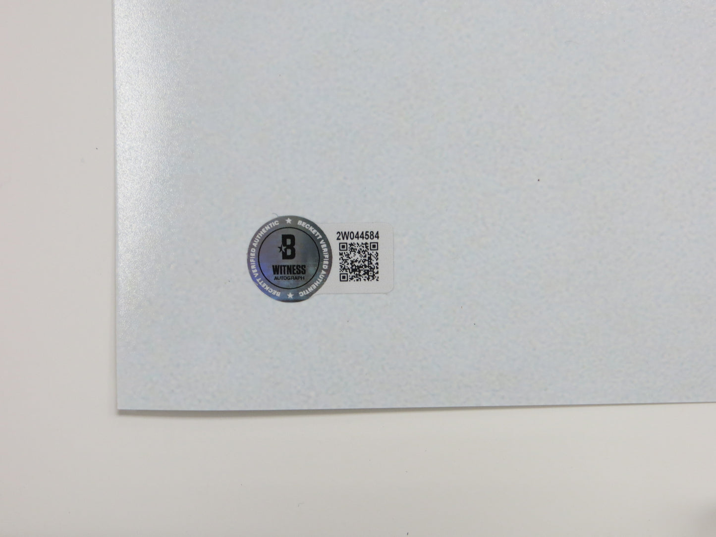 ED BELFOUR Dallas Stars SIGNED STANLEY CUP 16x20 PHOTO Leafs Blackhawks BAS COA