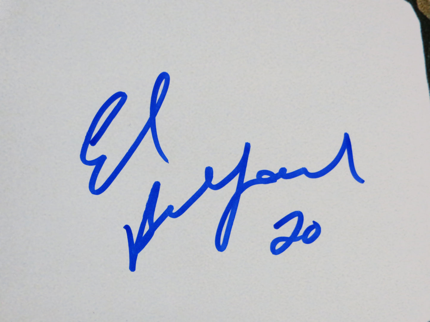 ED BELFOUR Dallas Stars SIGNED STANLEY CUP 16x20 PHOTO Leafs Blackhawks BAS COA