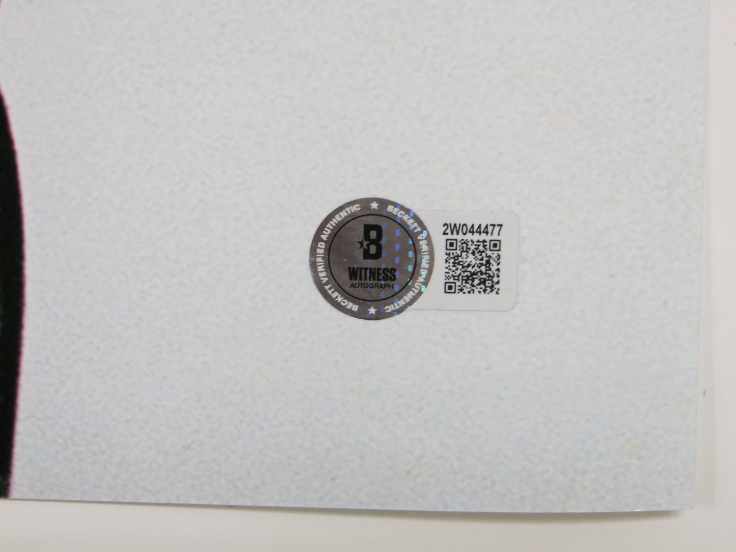 ED BELFOUR Dallas Stars SIGNED STANLEY CUP 16x20 PHOTO Leafs Blackhawks BAS COA