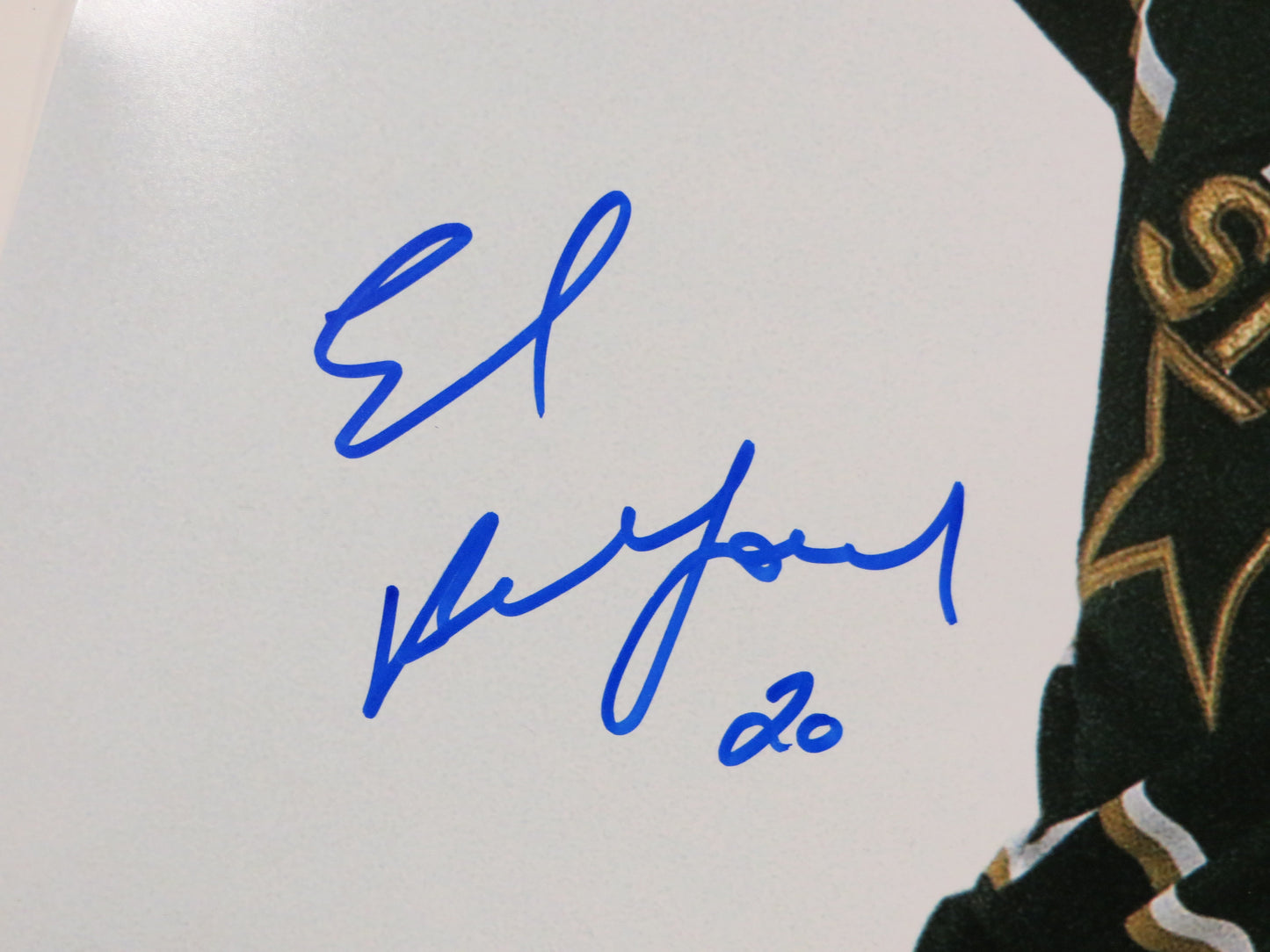 ED BELFOUR Dallas Stars SIGNED STANLEY CUP 16x20 PHOTO Leafs Blackhawks BAS COA