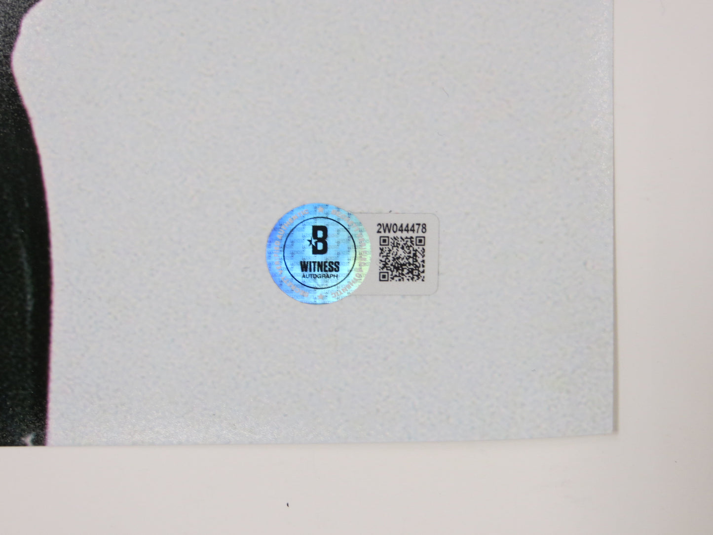 ED BELFOUR Dallas Stars SIGNED STANLEY CUP 16x20 PHOTO Leafs Blackhawks BAS COA