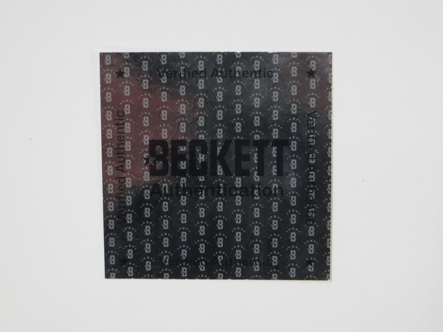 ED BELFOUR Dallas Stars SIGNED STANLEY CUP 16x20 PHOTO Leafs Blackhawks BAS COA