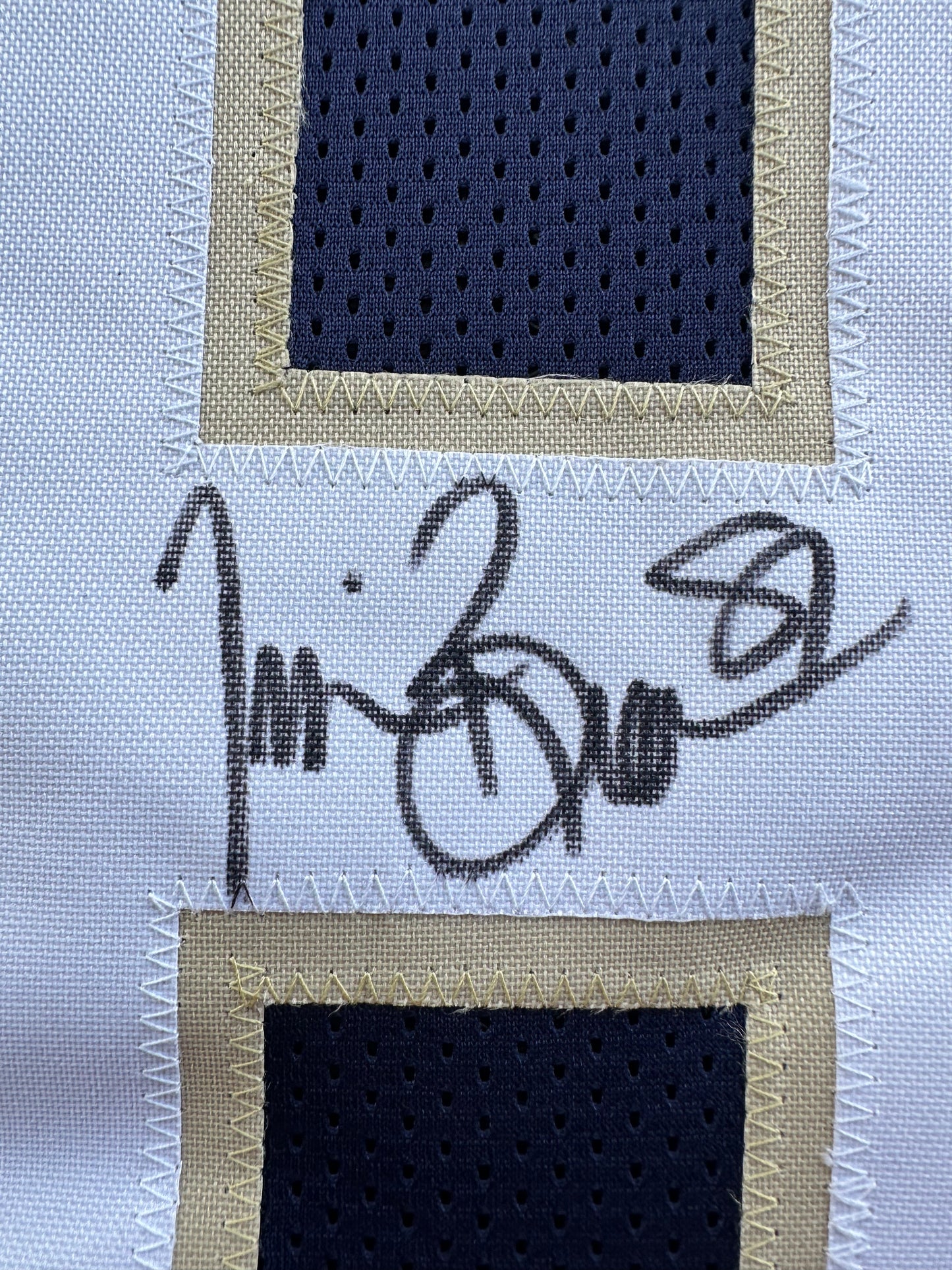 TIM BROWN NOTRE DAME FIGHTING IRISH SIGNED JERSEY XL Raiders Bucs BAS COA