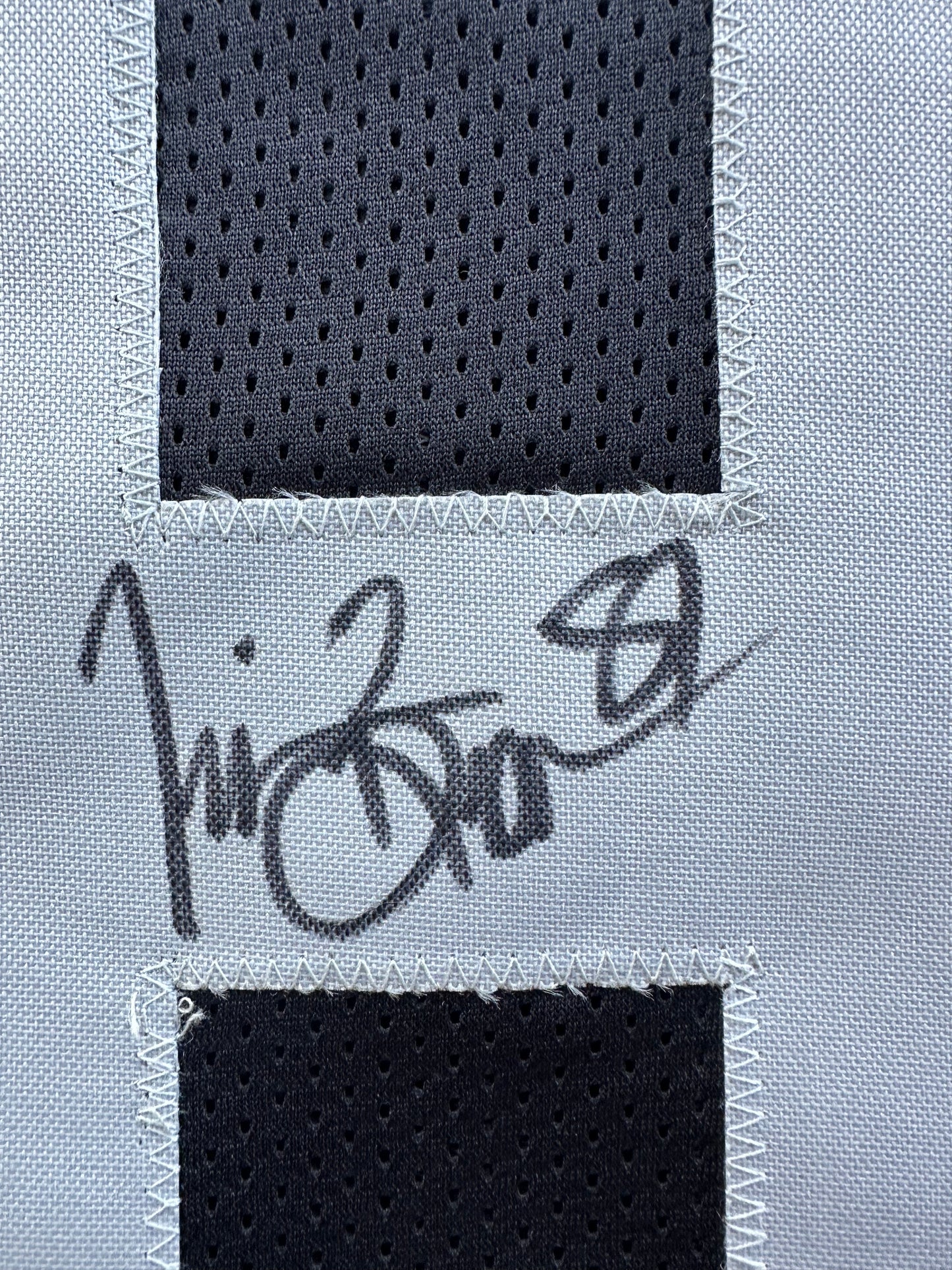 TIM BROWN LA OAKLAND RAIDERS SIGNED JERSEY XL Notre Dame Fighting Irish BAS