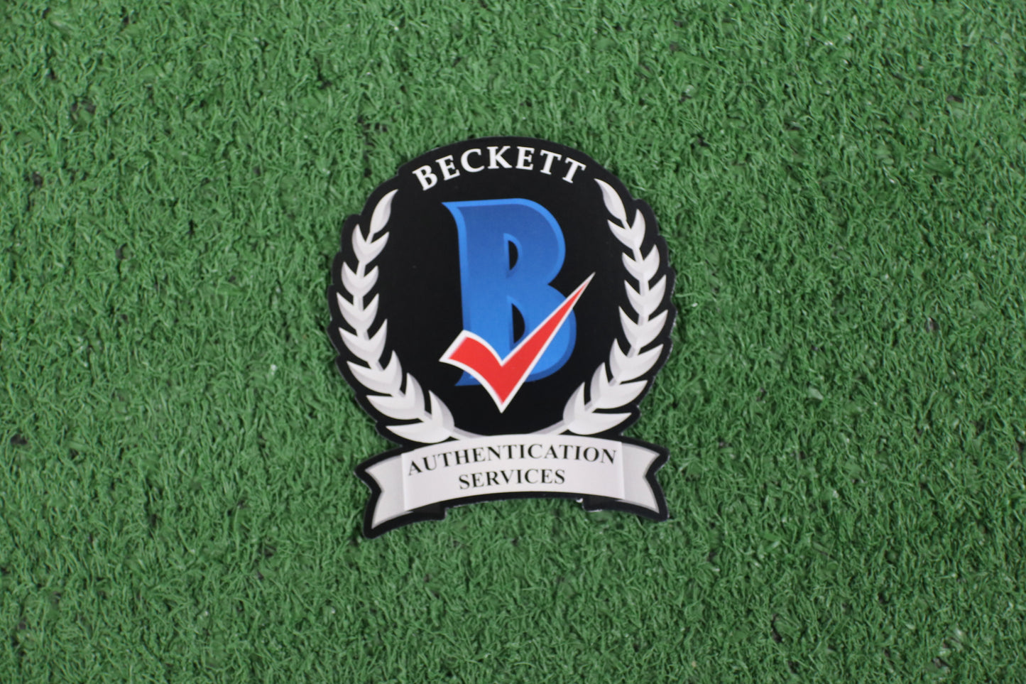 DARREN McFADDEN SIGNED ARKANSAS RAZORBACKS SIGNED 16x20 Photo WOOD BAS