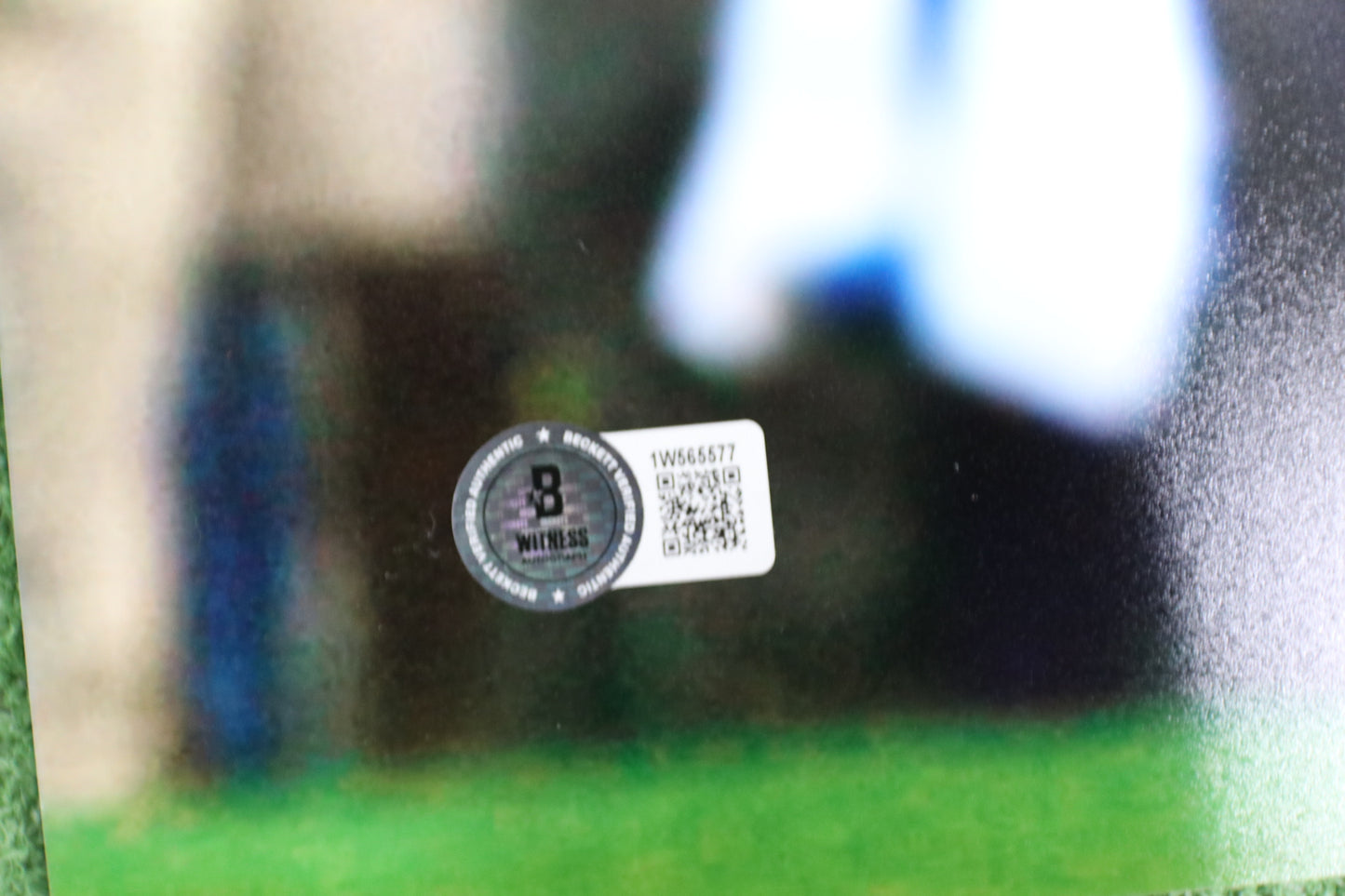 DARREN McFADDEN SIGNED ARKANSAS RAZORBACKS SIGNED 16x20 Photo RUN DMC BAS