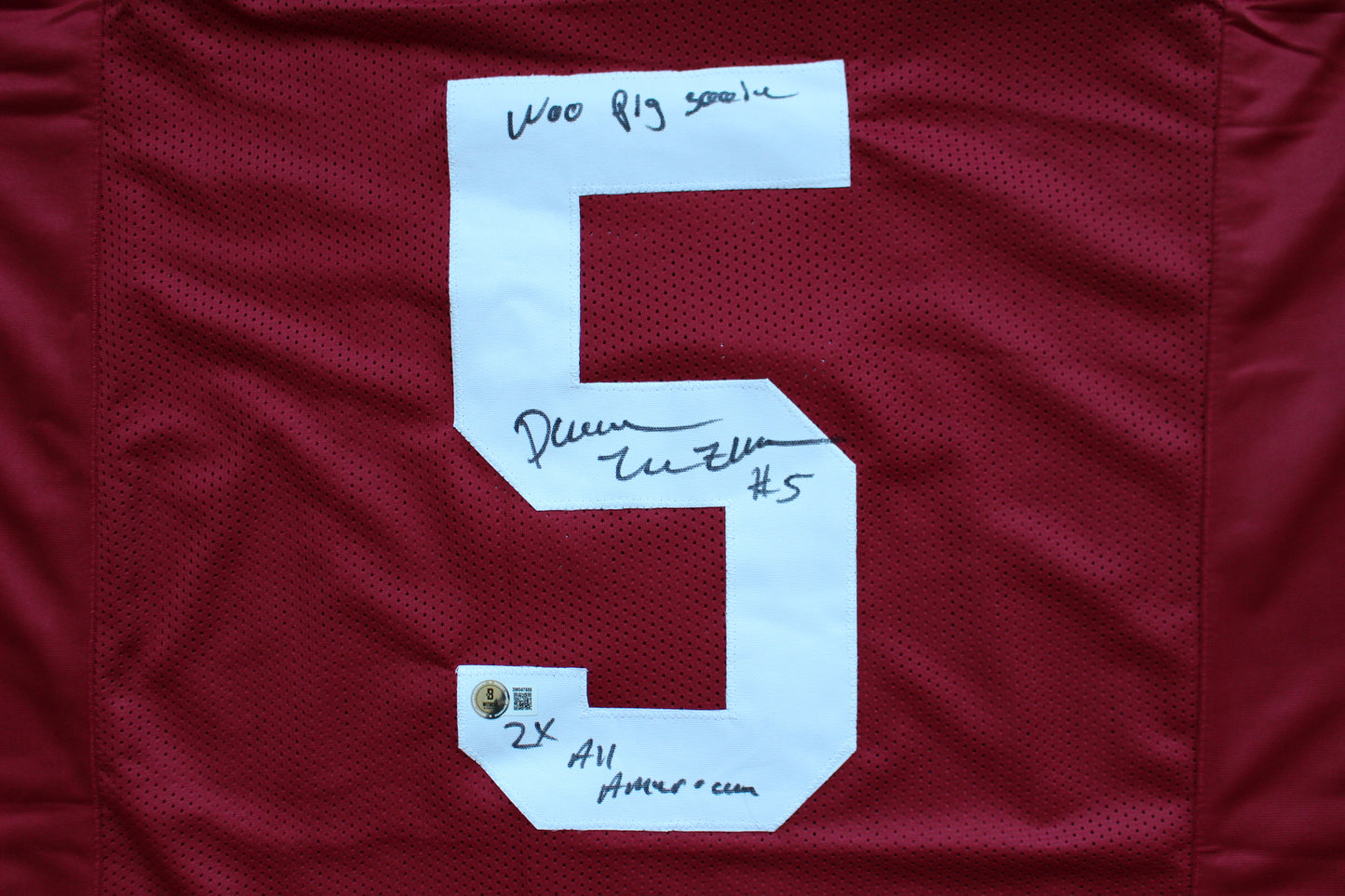 DARREN McFADDEN ARKNASAS RAZORBACKS SIGNED FOOTBALL JERSEY w/INSCs BAS COA