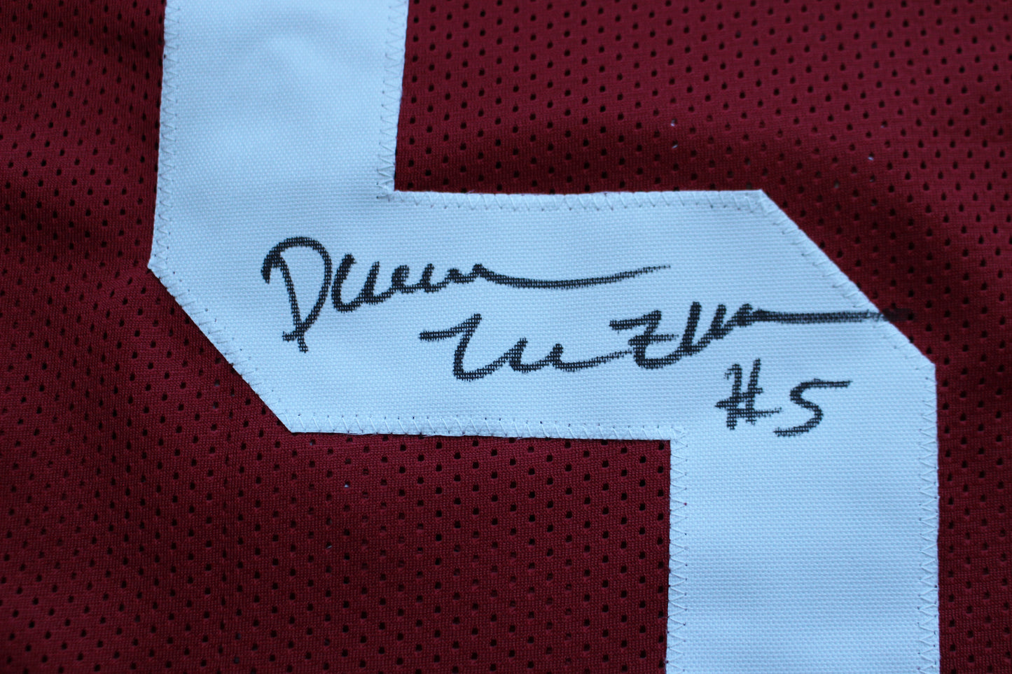DARREN McFADDEN ARKNASAS RAZORBACKS SIGNED FOOTBALL JERSEY w/INSCs BAS COA