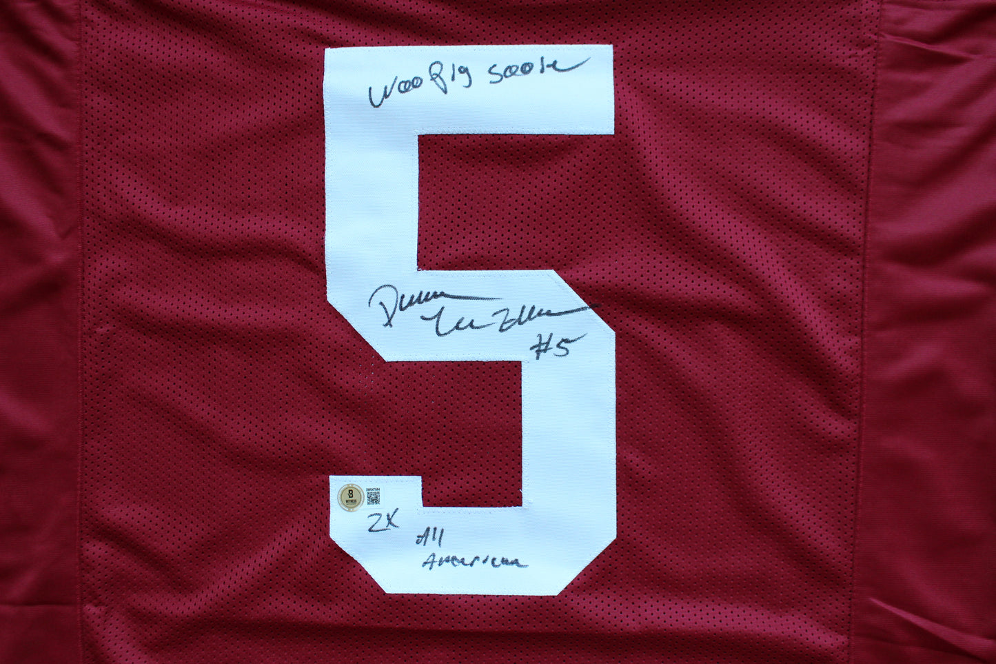 DARREN McFADDEN ARKNASAS RAZORBACKS SIGNED FOOTBALL JERSEY w/INSCs BAS COA