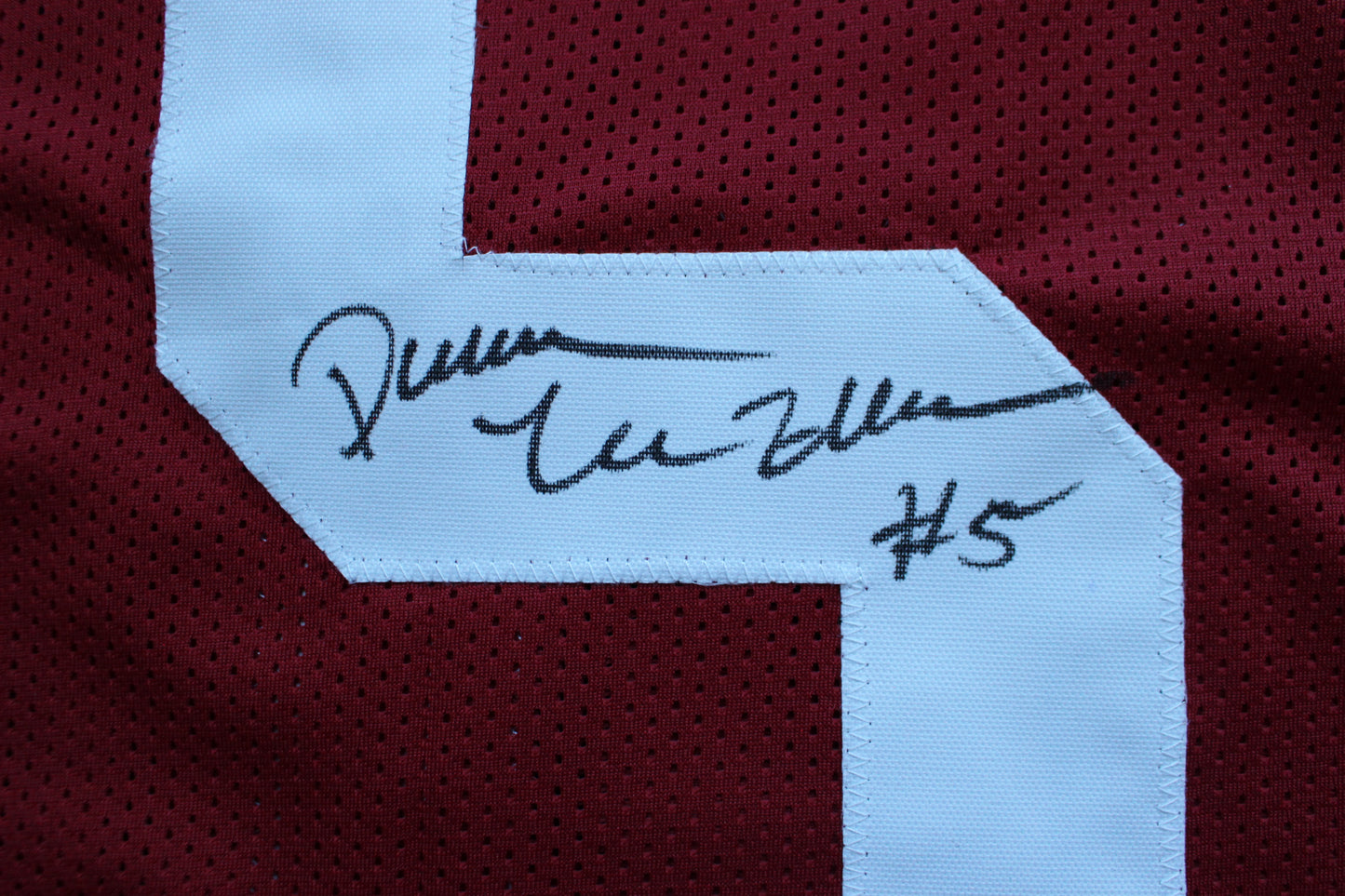 DARREN McFADDEN ARKNASAS RAZORBACKS SIGNED FOOTBALL JERSEY w/INSCs BAS COA