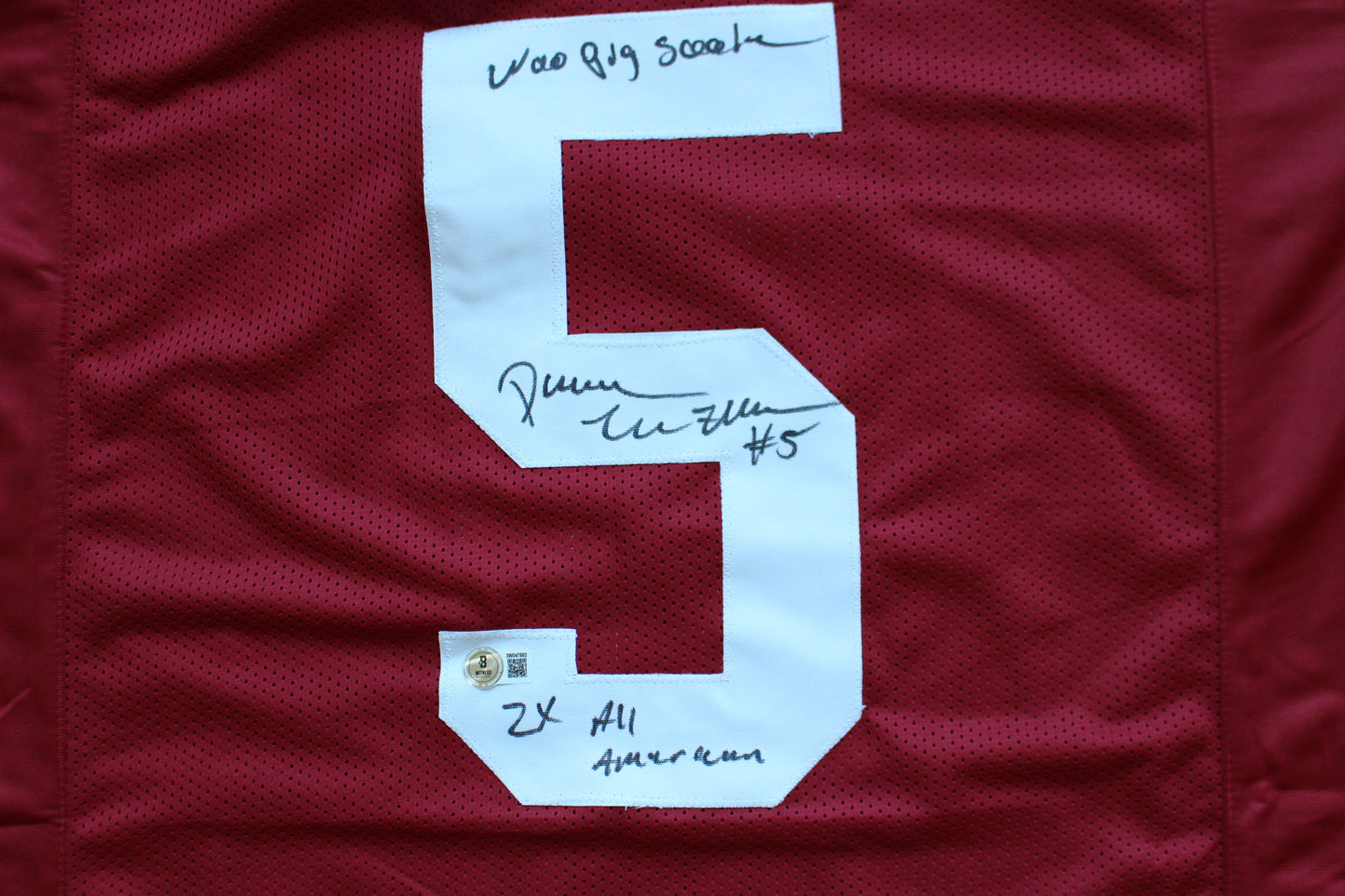 DARREN McFADDEN ARKNASAS RAZORBACKS SIGNED FOOTBALL JERSEY w/INSCs BAS COA