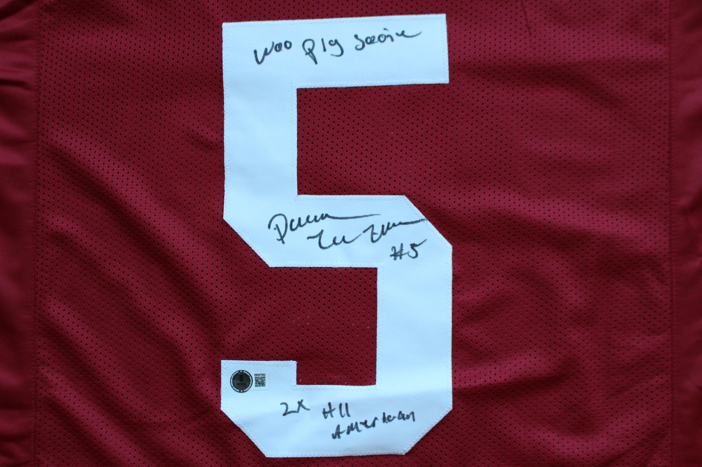 DARREN McFADDEN ARKNASAS RAZORBACKS SIGNED FOOTBALL JERSEY w/INSCs BAS COA