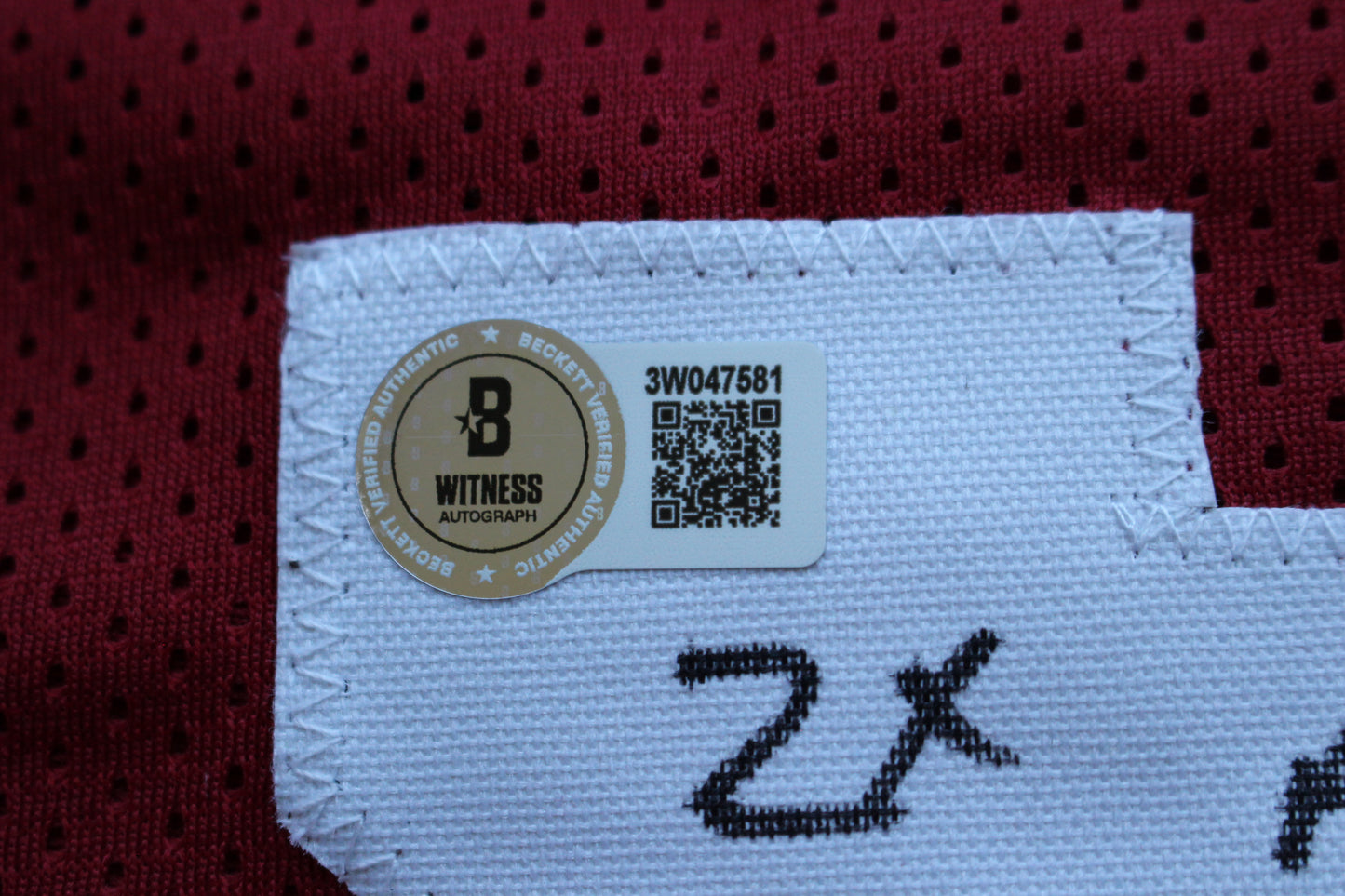DARREN McFADDEN ARKNASAS RAZORBACKS SIGNED FOOTBALL JERSEY w/INSCs BAS COA