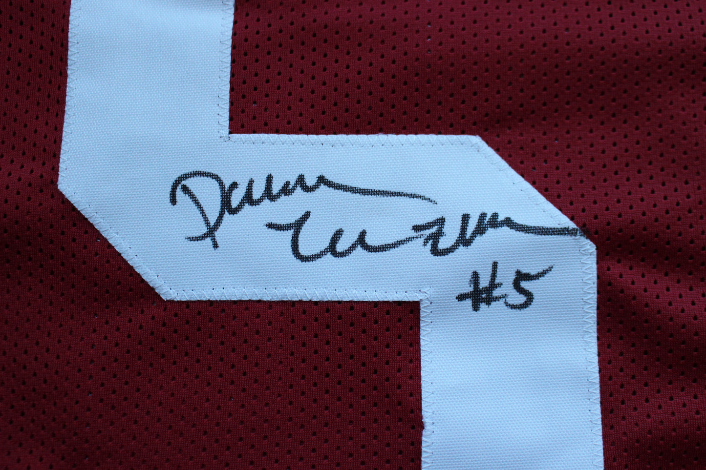 DARREN McFADDEN ARKNASAS RAZORBACKS SIGNED FOOTBALL JERSEY w/INSCs BAS COA