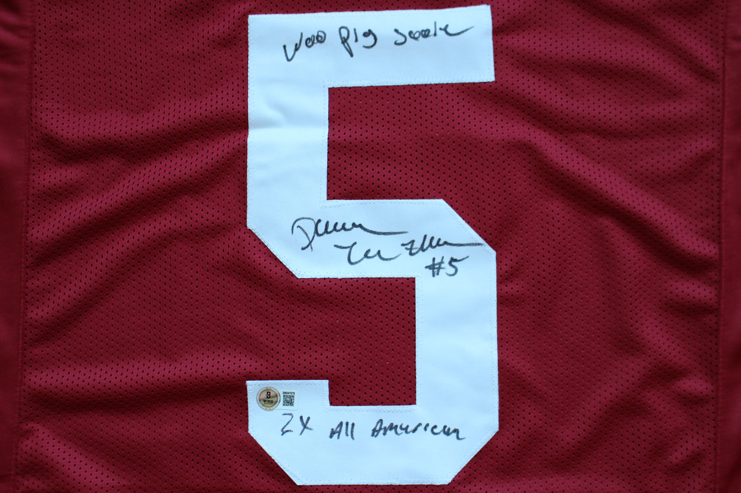 DARREN McFADDEN ARKNASAS RAZORBACKS SIGNED FOOTBALL JERSEY w/INSCs BAS COA
