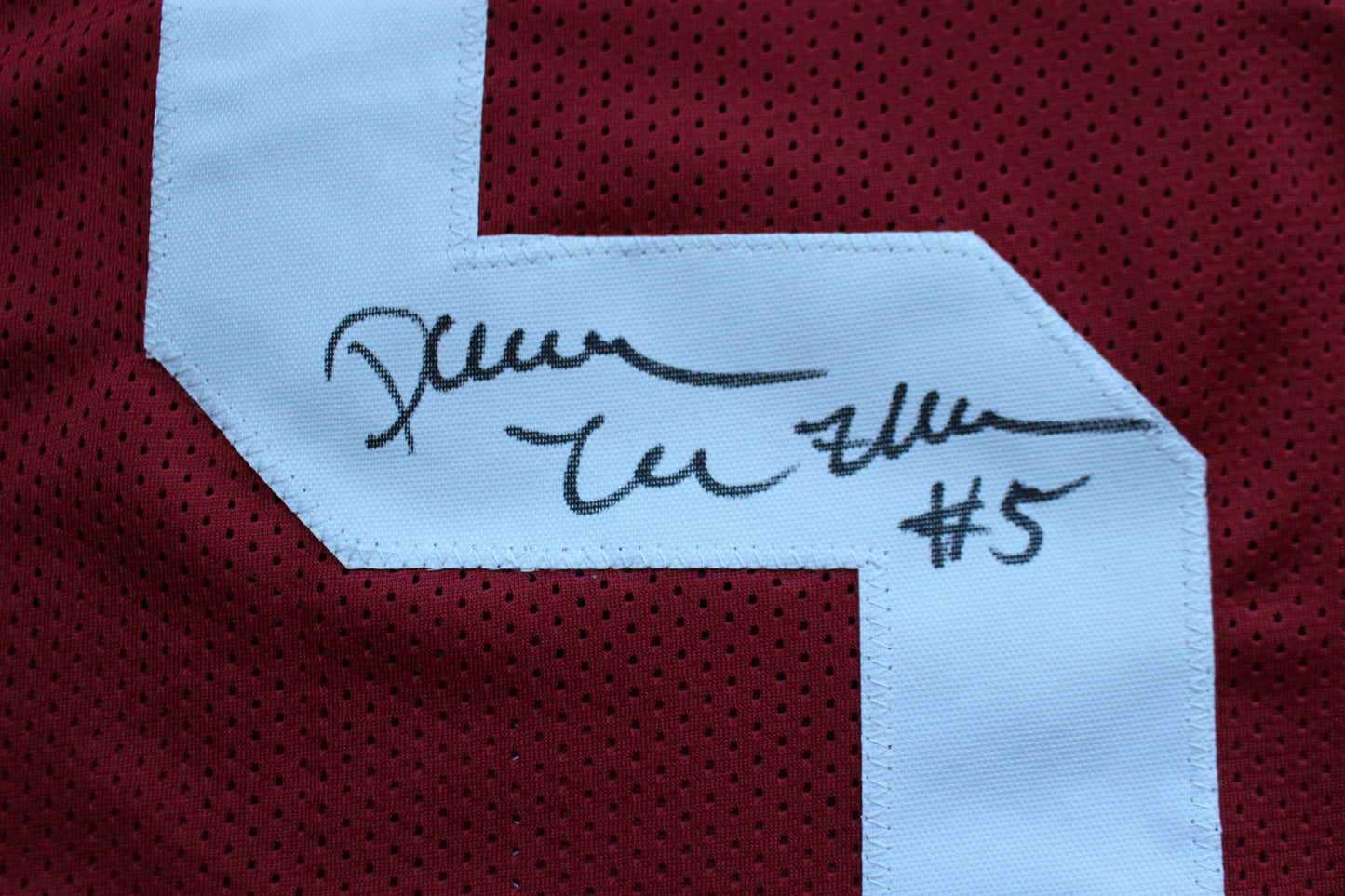 DARREN McFADDEN ARKNASAS RAZORBACKS SIGNED FOOTBALL JERSEY w/INSCs BAS COA