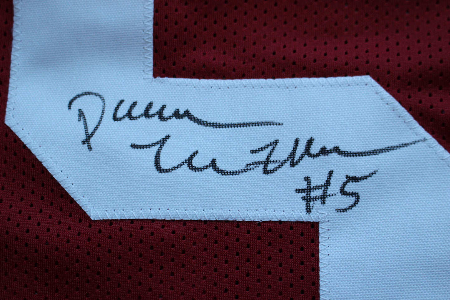 DARREN McFADDEN ARKNASAS RAZORBACKS SIGNED FOOTBALL JERSEY w/INSCs BAS COA