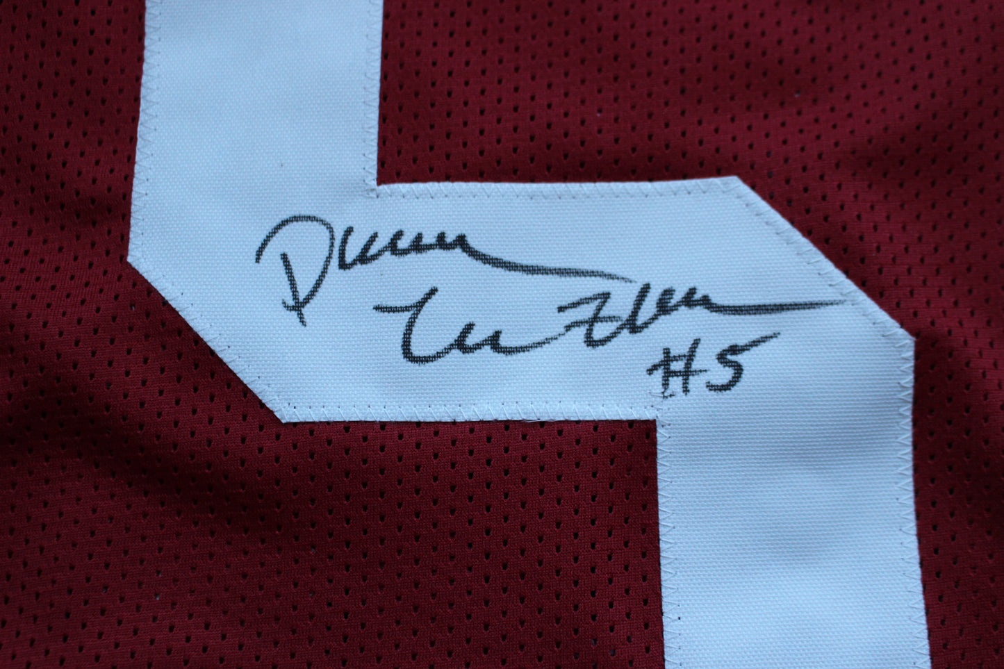 DARREN McFADDEN ARKNASAS RAZORBACKS SIGNED FOOTBALL JERSEY w/INSCs BAS COA