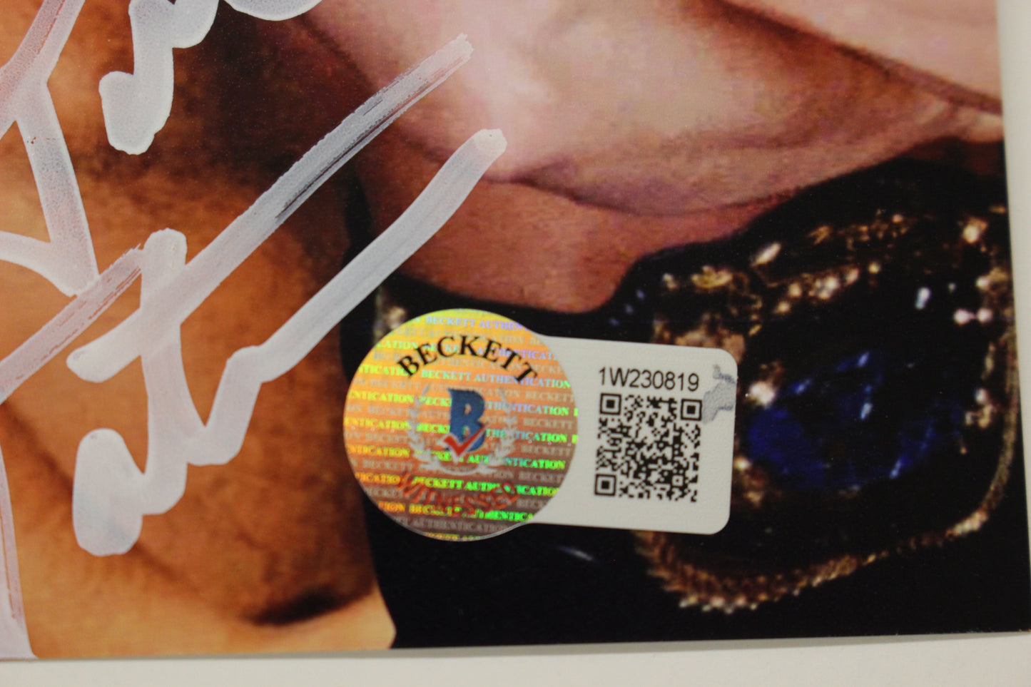 INVESTABILIA by the DALLAS CARD SHOW SIGNED 8x10 Green PHOTO Von Erich +MORE BAS