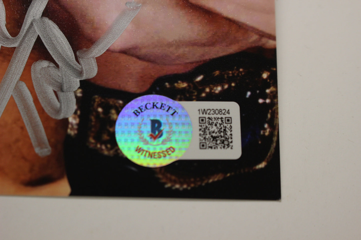 INVESTABILIA by the DALLAS CARD SHOW SIGNED 8x10 Green PHOTO Von Erich +MORE BAS