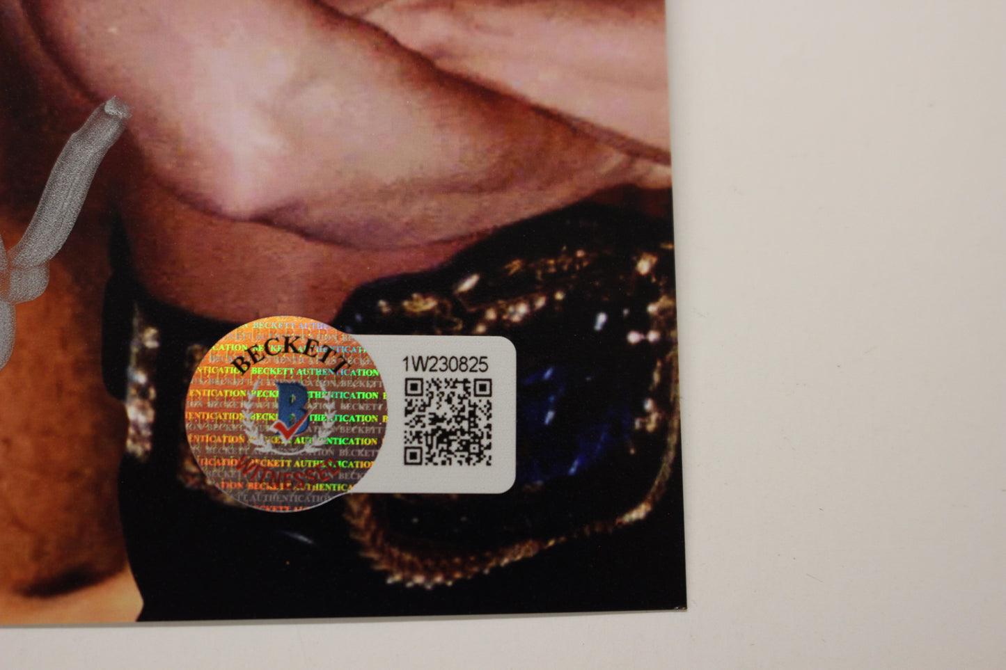 INVESTABILIA by the DALLAS CARD SHOW SIGNED 8x10 Green PHOTO Von Erich +MORE BAS