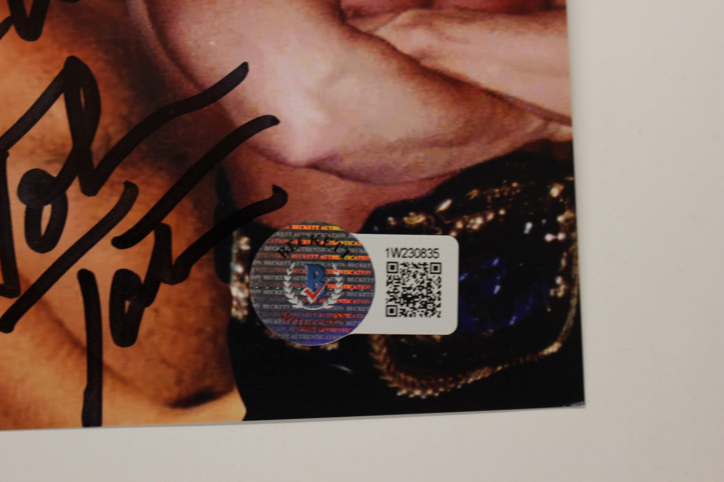 INVESTABILIA by the DALLAS CARD SHOW SIGNED 8x10 Green PHOTO Von Erich +MORE BAS
