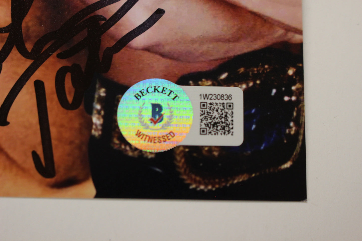 INVESTABILIA by the DALLAS CARD SHOW SIGNED 8x10 Green PHOTO Von Erich +MORE BAS