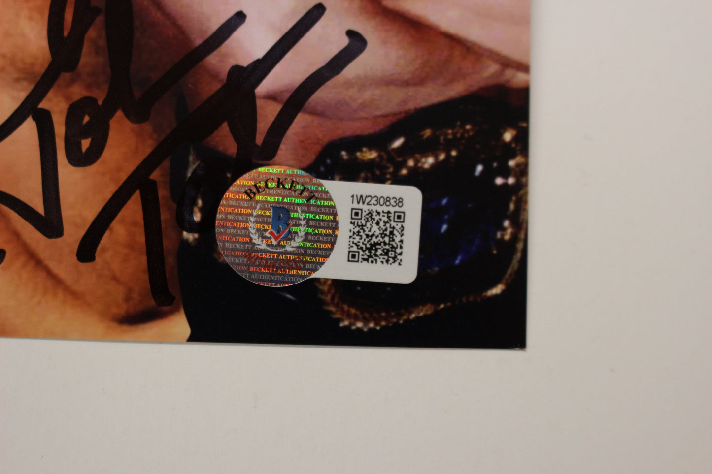INVESTABILIA by the DALLAS CARD SHOW SIGNED 8x10 Green PHOTO Von Erich +MORE BAS