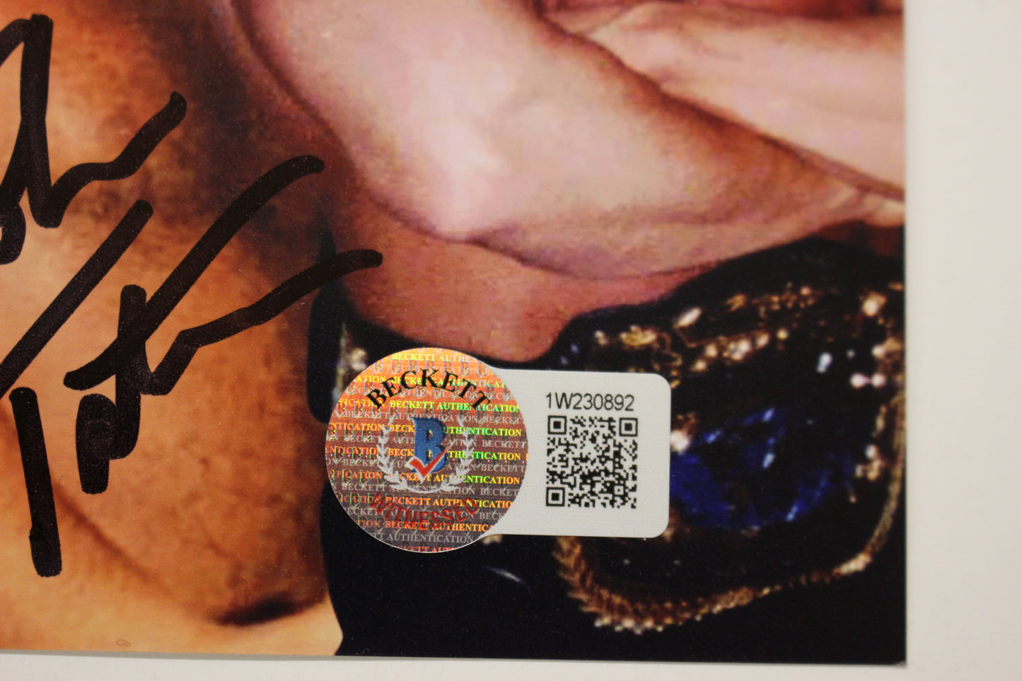 INVESTABILIA by the DALLAS CARD SHOW SIGNED 8x10 Green PHOTO Von Erich +MORE BAS