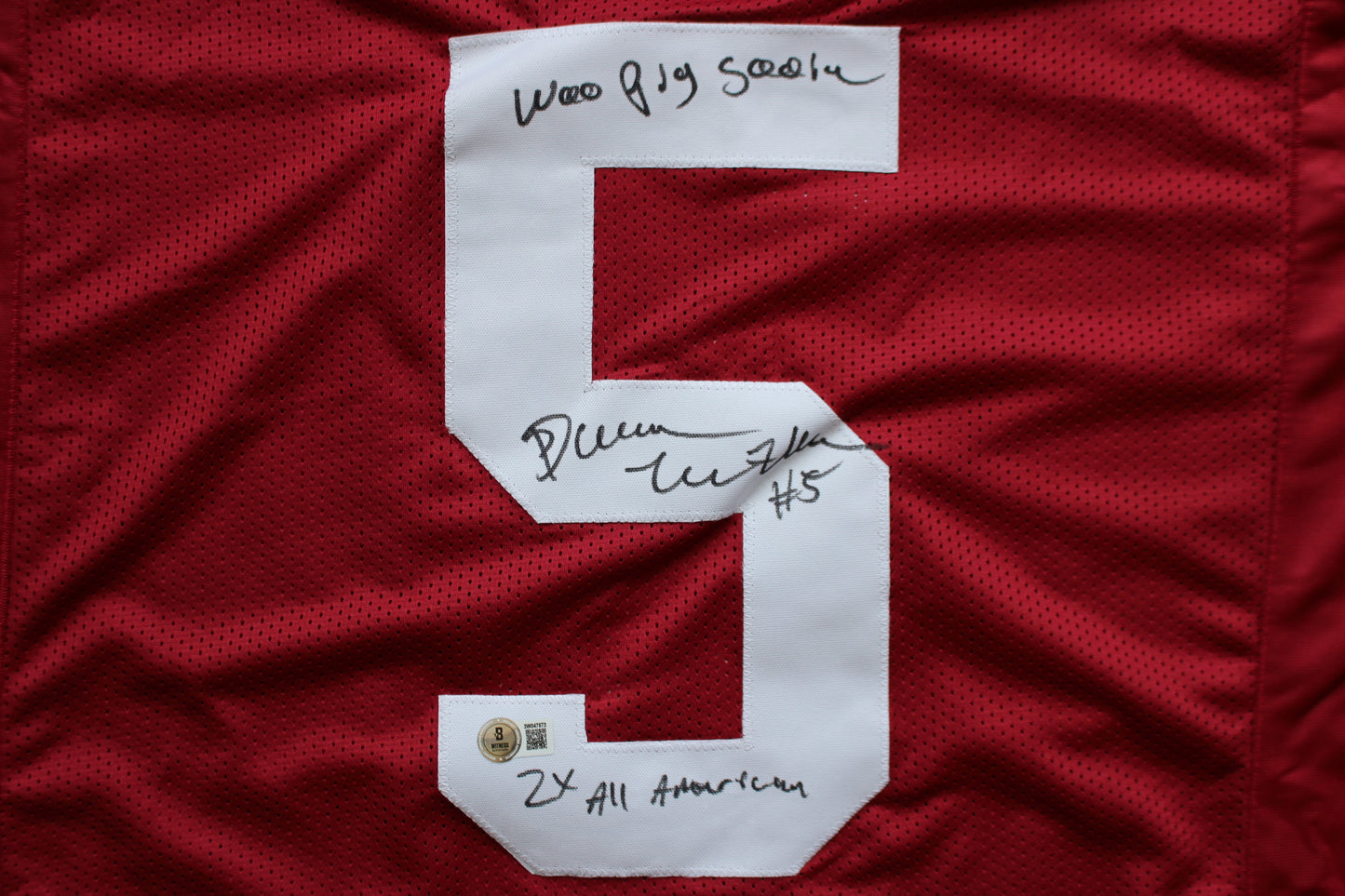 DARREN McFADDEN ARKANSAS RAZORBACKS SIGNED JERSEY w/WPS 2xAllAmerican BAS