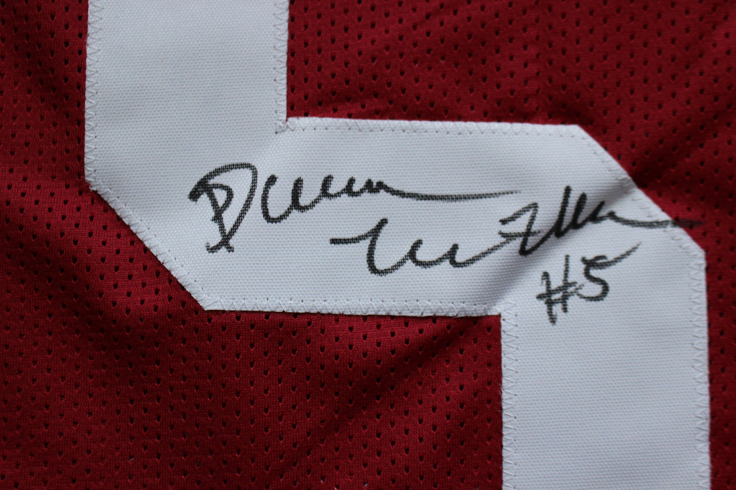 DARREN McFADDEN ARKANSAS RAZORBACKS SIGNED JERSEY w/WPS 2xAllAmerican BAS