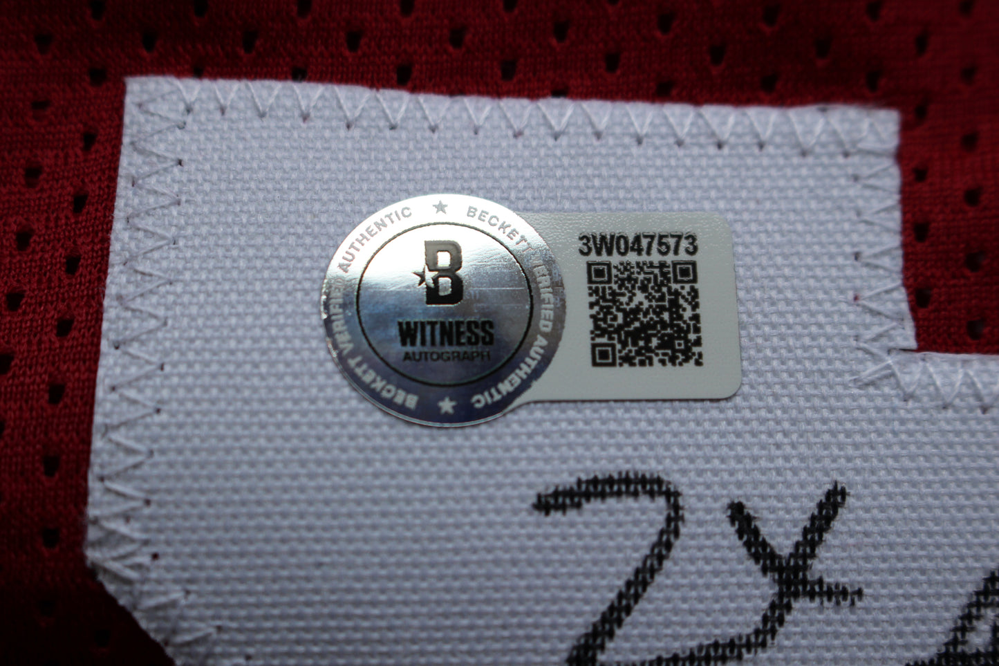 DARREN McFADDEN ARKANSAS RAZORBACKS SIGNED JERSEY w/WPS 2xAllAmerican BAS