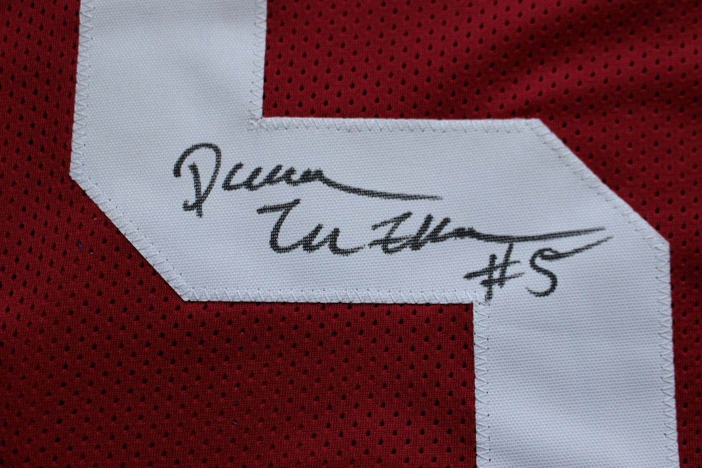 DARREN McFADDEN ARKANSAS RAZORBACKS SIGNED JERSEY w/WPS 2019 CFHOF BAS COA