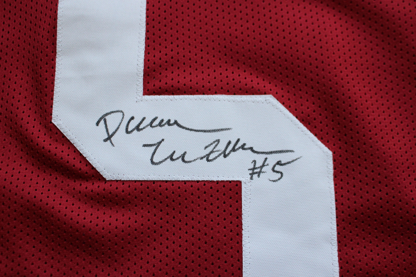 DARREN McFADDEN ARKANSAS RAZORBACKS SIGNED JERSEY w/WPS 2019 CFHOF BAS COA